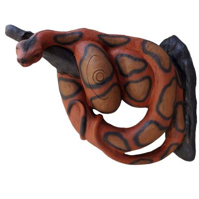 Kungsboaorm (Boa constrictor)