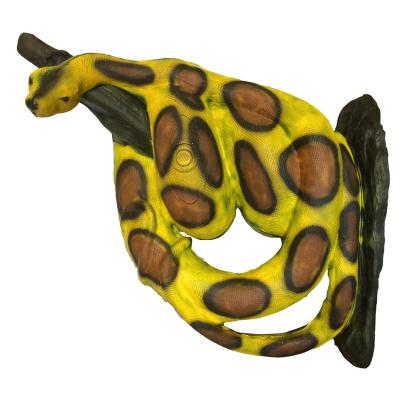 Kungsboaorm (Boa constrictor) - 3