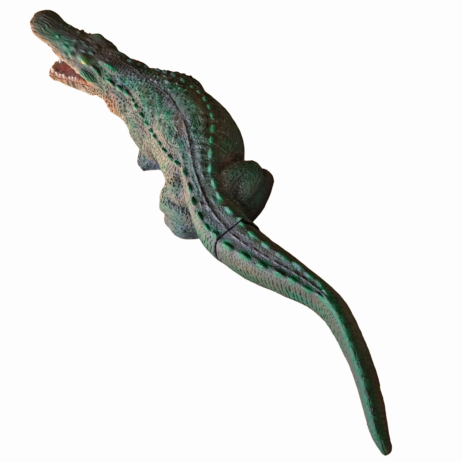 Krokodil (Crocodylus niloticus) - 3