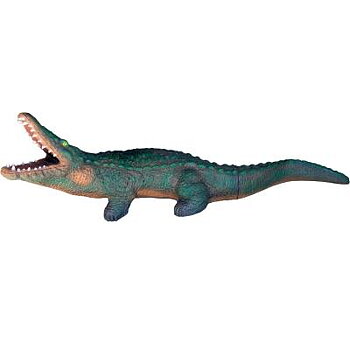 Krokodil (Crocodylus niloticus)
