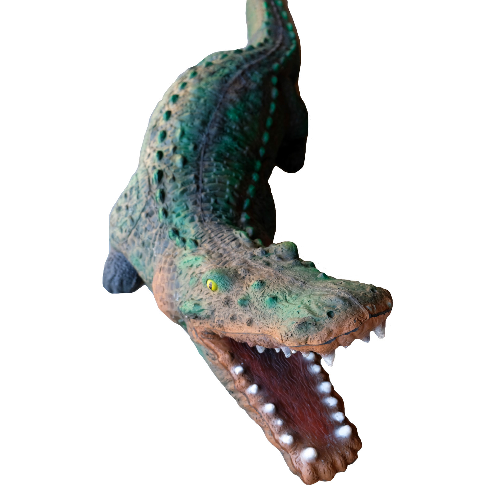 Krokodil (Crocodylus niloticus) - 2
