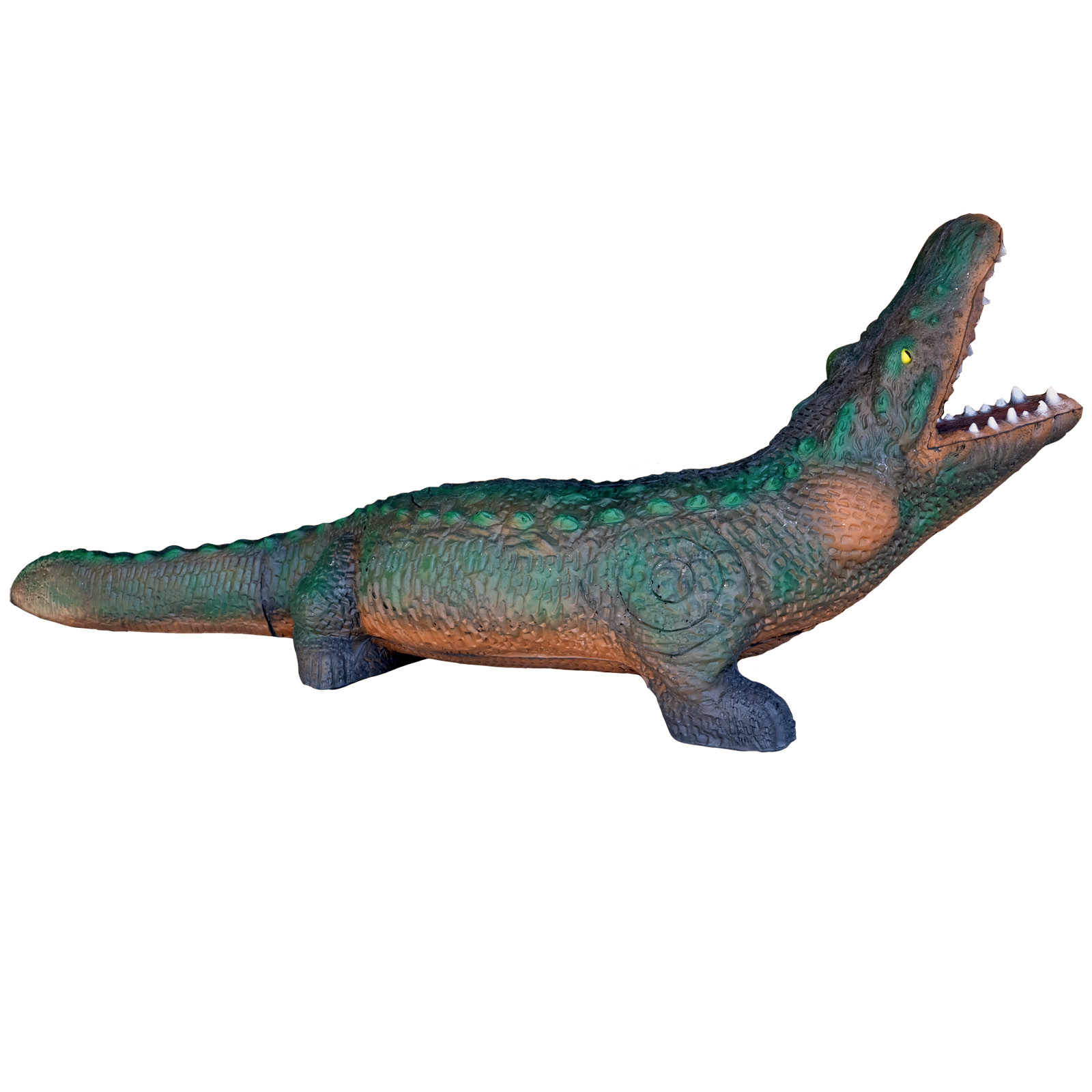 Krokodil (Crocodylus niloticus) - 4
