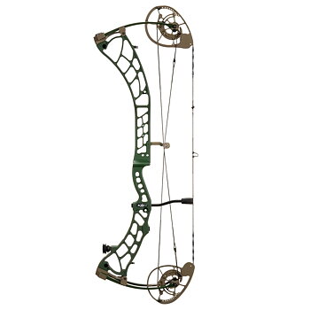 X Lite-31