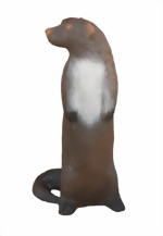 Utter stående (Lutra Lutra) - 2
