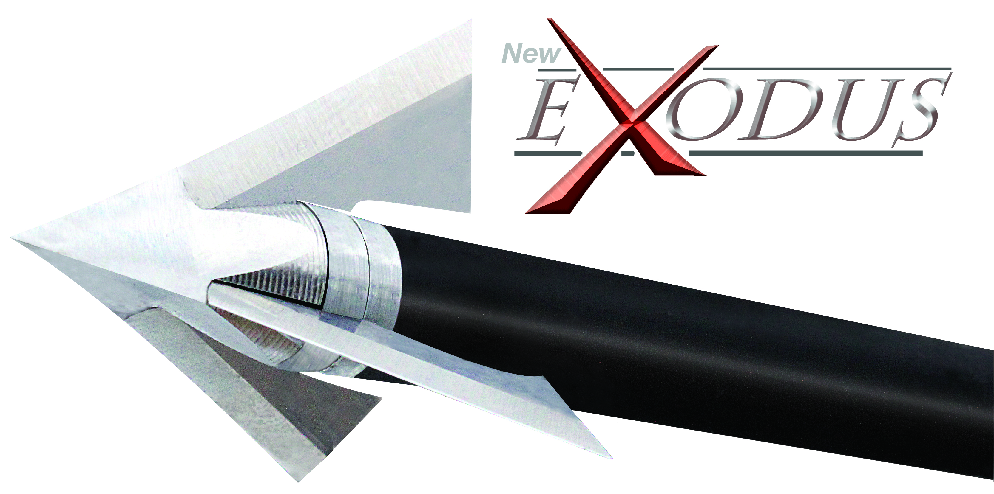 Exodus - 2