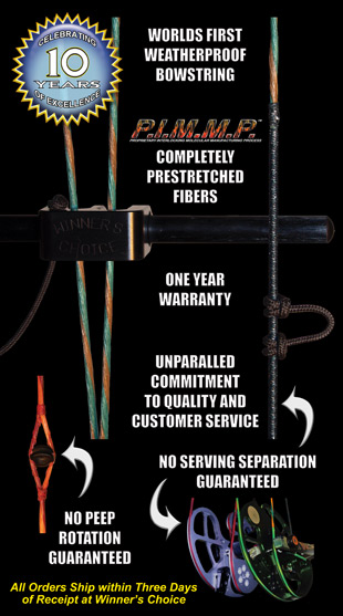 Sträng Winners Choise Hoyt Matrix