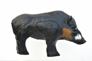 Vildsvin galt mellanstorlek (Sus Scrofa)
