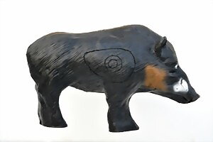 Vildsvin galt mellanstorlek (Sus Scrofa)