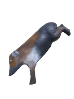 Vildsvin galt hoppande (Sus Scrofa)