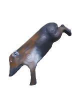 Vildsvin galt hoppande (Sus Scrofa)