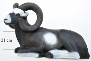 Mufflon liggande (Ovis ovis musimon) - 4