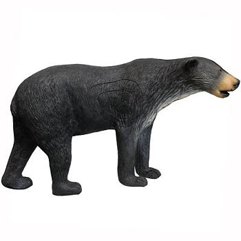 Svartbjörn stor (Ursus americanus)