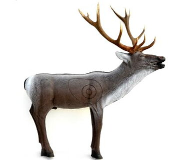 Kronhjort  brölande (Cervus elaphus)