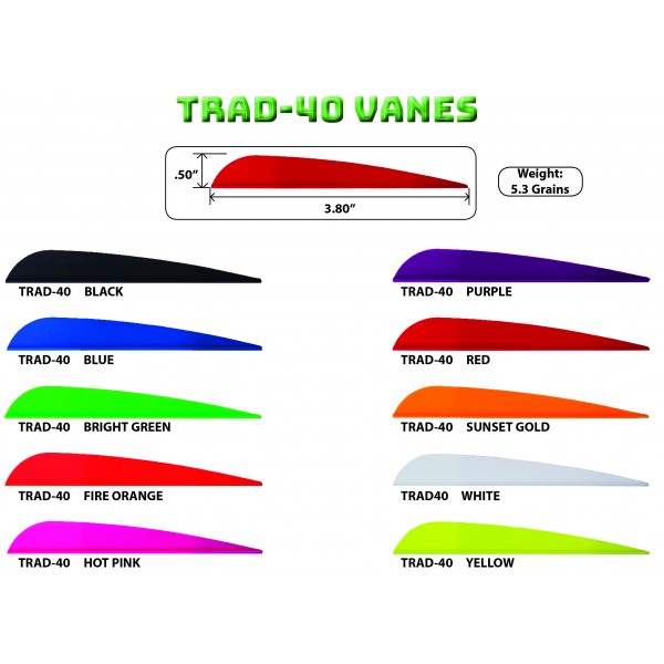 AAE Arizona Vanes Traditional  fena - 2