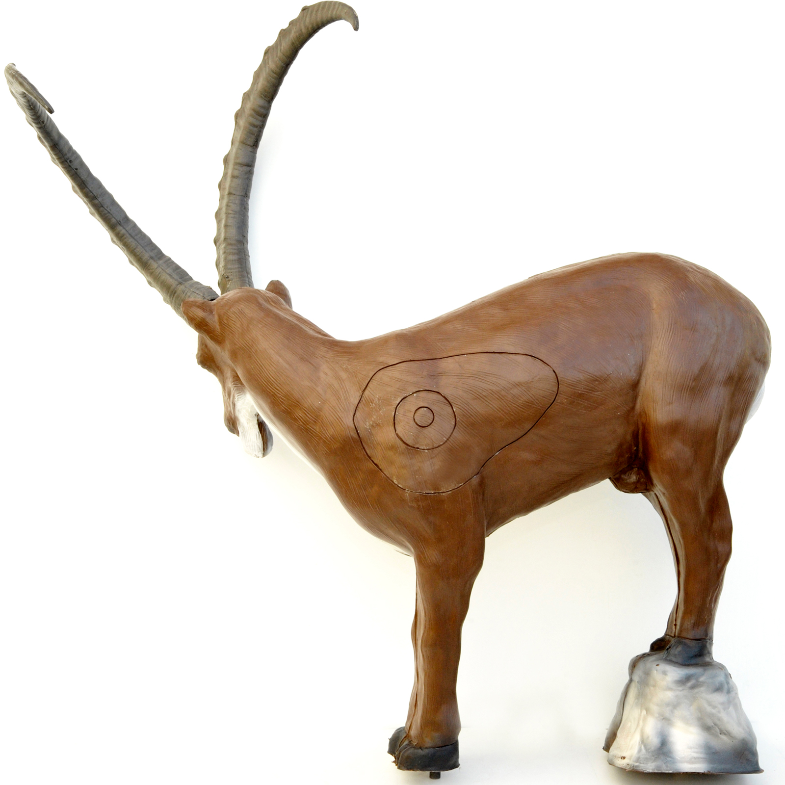 Stenbock (Capra ibex)  - 2