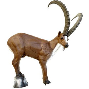 Stenbock (Capra ibex) 