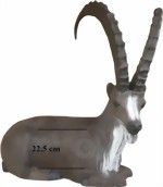Stenbock liggande (Capra ibex) 