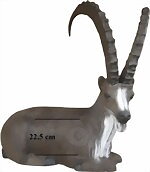 Stenbock liggande (Capra ibex) 