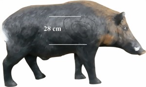 Vildsvin galt (Sus Scrofa)