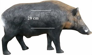 Vildsvin galt (Sus Scrofa)