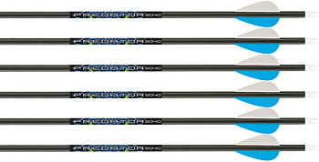 Skaft Carbon Express Predator II