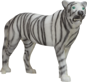 Tiger (Panthera tigris)  - 2