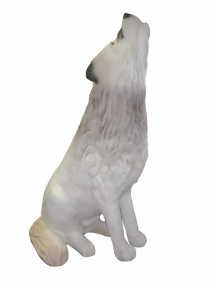 Varg Ylande (Canis Lupus) - 2