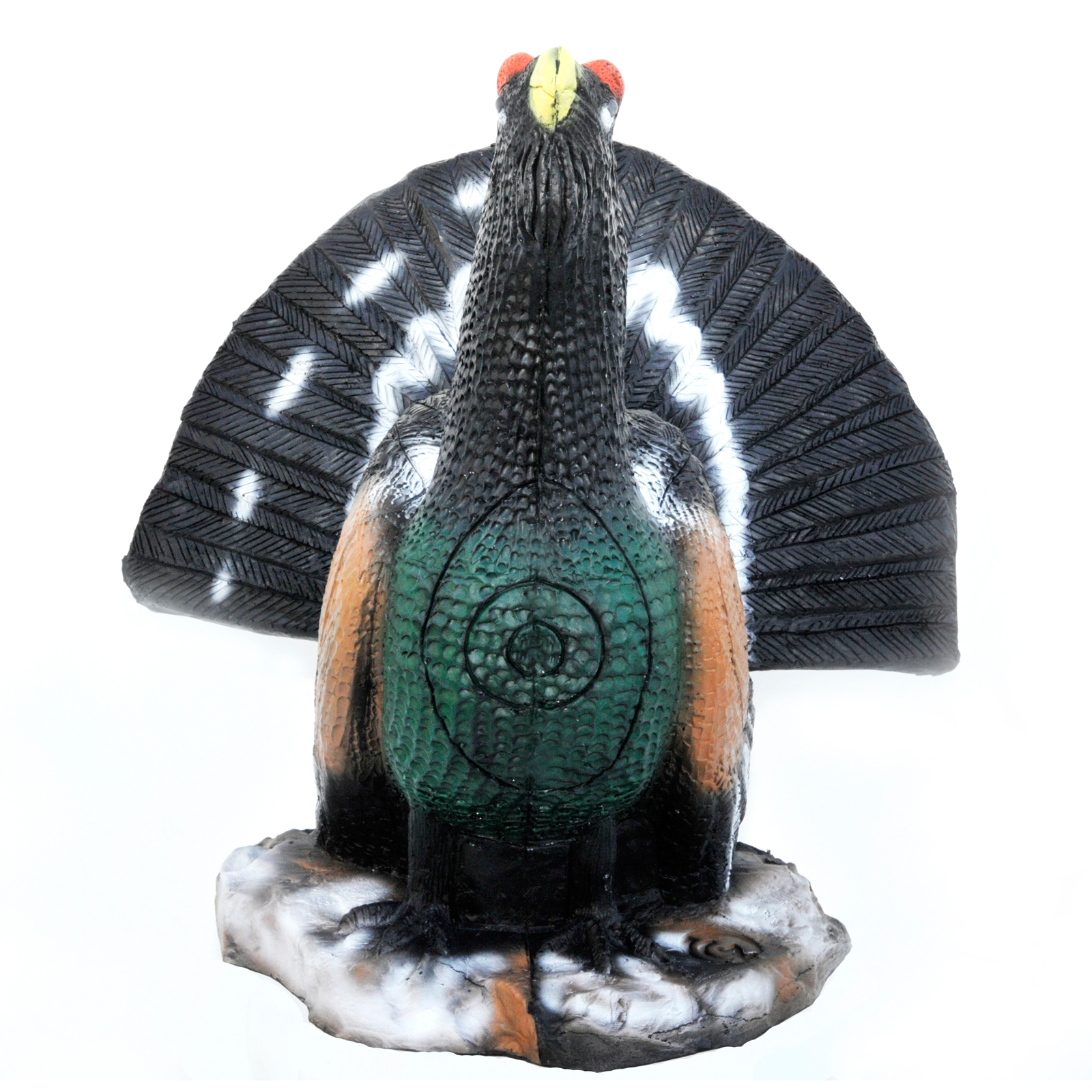 Tjäder(Tetrao urogallus) - 2