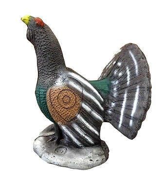 Tjäder(Tetrao urogallus)