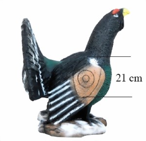 Tjäder(Tetrao urogallus) - 3