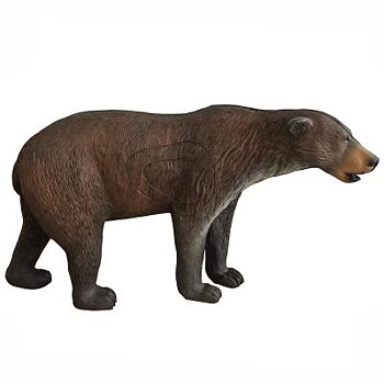Brunbjörn (Ursus Arctors)