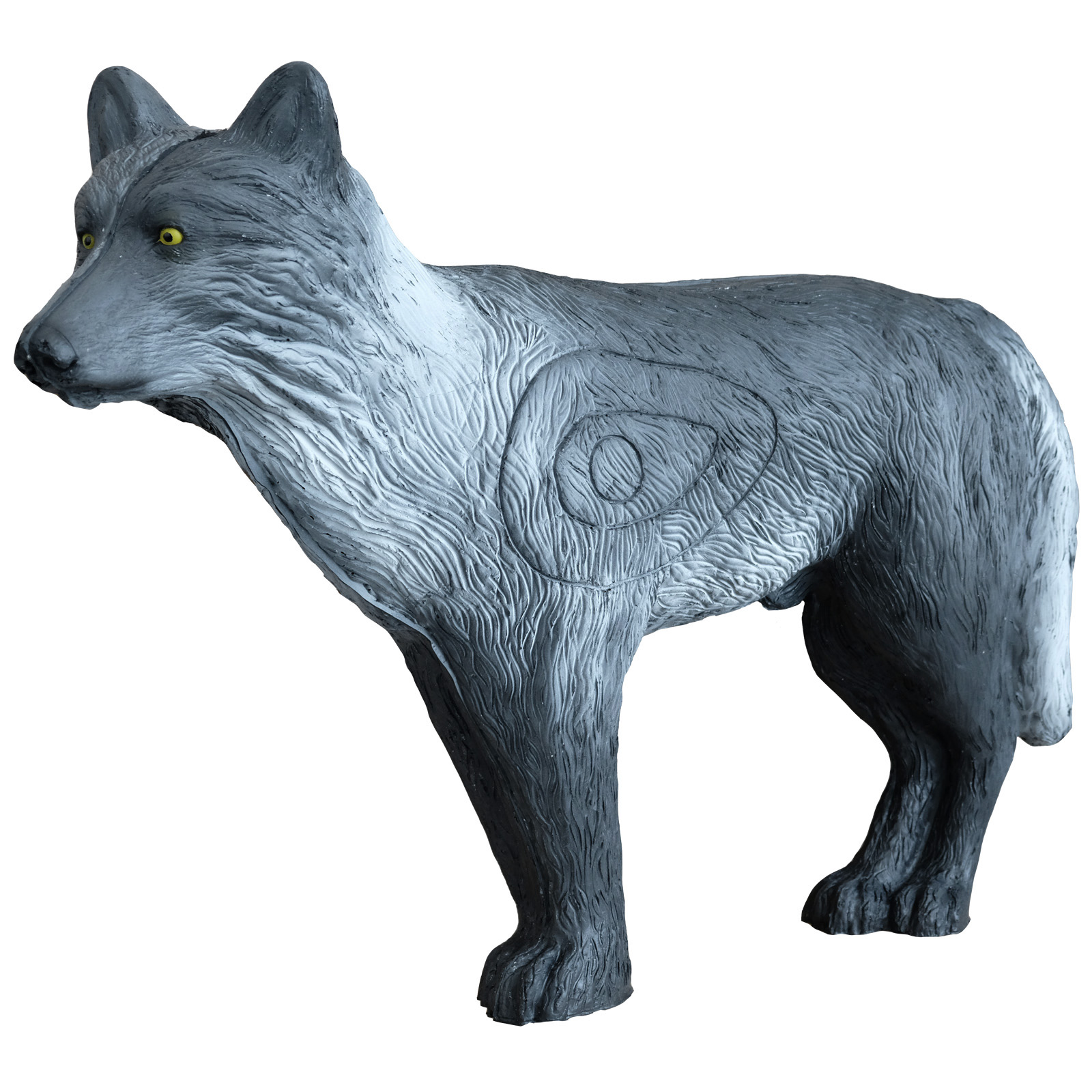 Varg (Canis Lupus) - 2