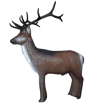 Kronhjort  stående (Cervus elaphus)