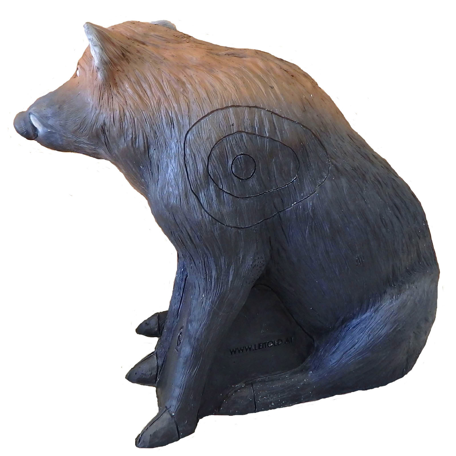 Vildsvin Sugga sittande (Sus Scrofa) - 2