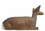 Kronhjort hind liggande (Cervus elaphus)