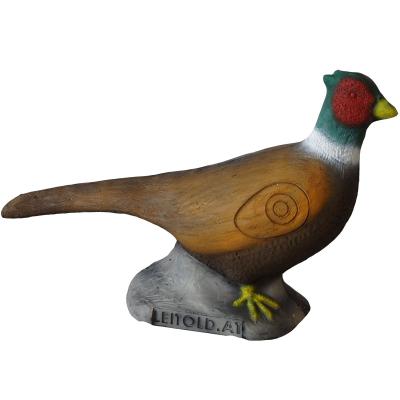 Fasantupp (Phasianus colchicus)