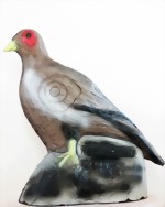 Fasanhöna (Phasianus colchicus)