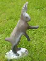 Fälthare stående (Lepus europaeus)