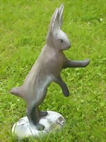 Fälthare stående (Lepus europaeus)