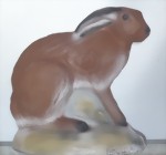 Fälthare sittande (Lepus europaeus)