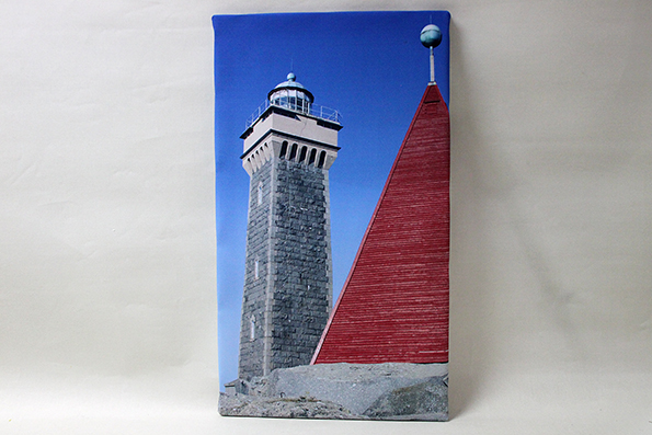 Canvas tavla Vinga 70x35 cm