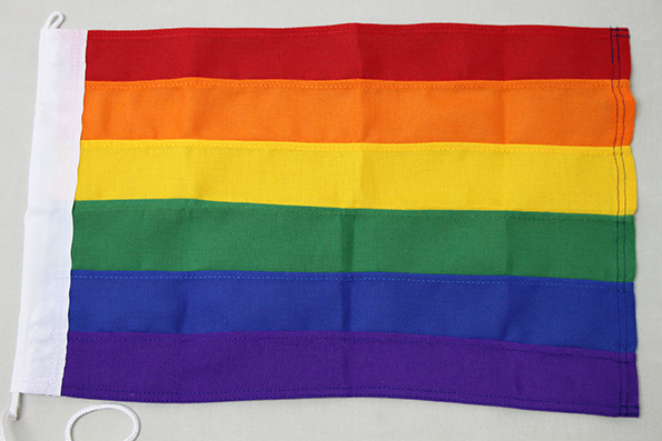Rainbow or Pride Flag - 2