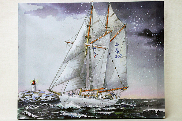 Plate Falcon 40x50 cm