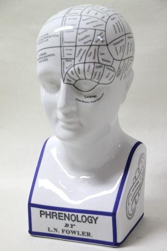 Phrenology Head 30x15 cm - 2