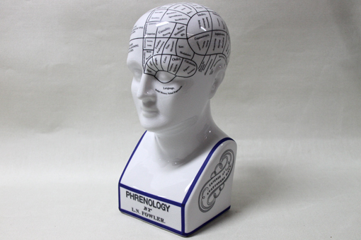 Phrenology Head 30x15 cm