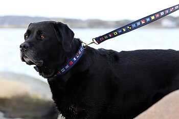 Dog Leads Leatherman