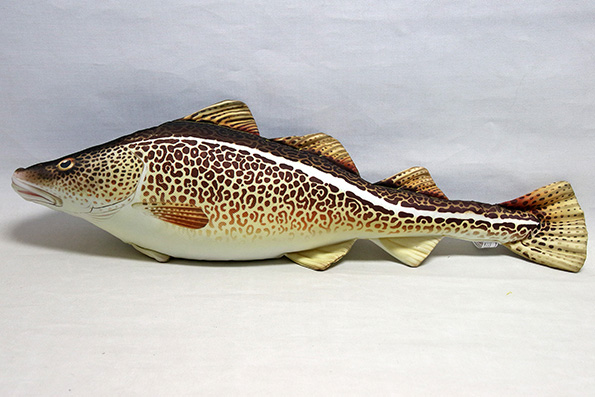 Cod cushion 75x20 cm