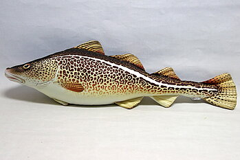 Torsk kudde 75x20 cm