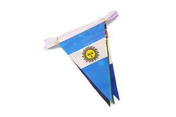 World Cup 2018 Pennant flag game 20x30 cm