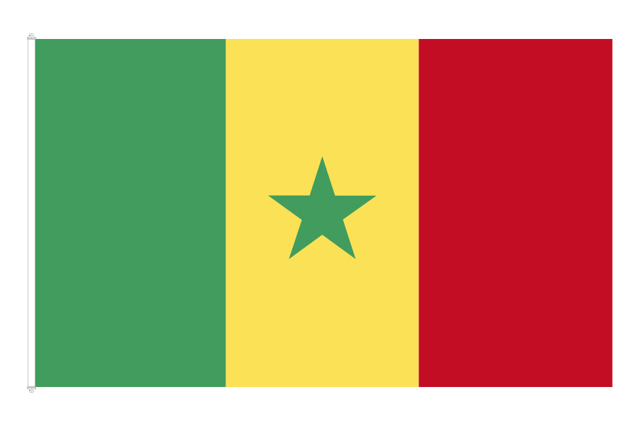 Senegal Flagga